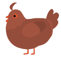 A russet chicken with a head pattern