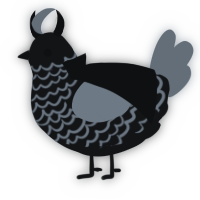 A sable and ash chicken with a lace pattern
