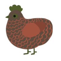 A bark and russet chicken with a lace pattern