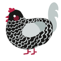 A sable and silver chicken with a lace pattern