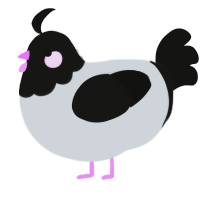 A mist and black chicken with a head pattern