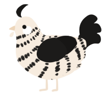 A cream and sable chicken with a bar pattern