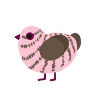 (unnamed), a rose and bark chicken with a bar pattern