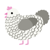 A white and ash chicken with a lace pattern