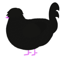A black chicken with a lace pattern