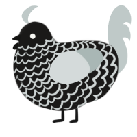A sable and silver chicken with a lace pattern