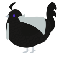A sable and black chicken with a lace pattern