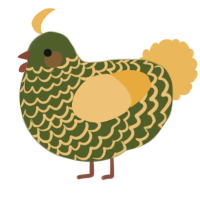 A olive and honey chicken with a lace pattern