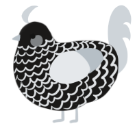 A sable and mist chicken with a lace pattern