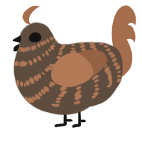 A bark and brown chicken with a bar pattern