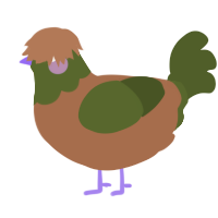 Ducklet, a brown and olive chicken with a head pattern