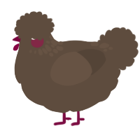 A bark chicken with a neck-speckle pattern