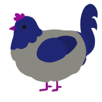 A ash and navy chicken with a head pattern