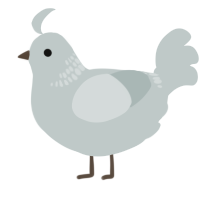 A silver chicken with a neck-band pattern