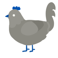 A ash chicken with a head pattern