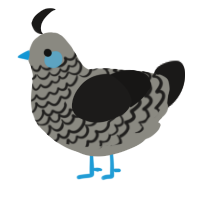 A ash and sable chicken with a lace pattern