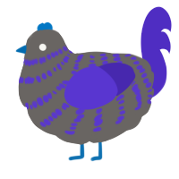 A grey and indigo chicken with a bar pattern