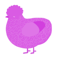 A orchid chicken with a double-lace pattern