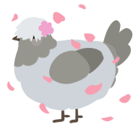 A mist and ash chicken with a head pattern