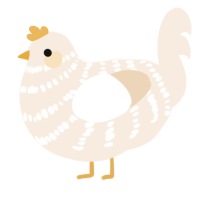 A cream chicken with a bar pattern
