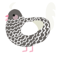 A grey and white chicken with a lace pattern
