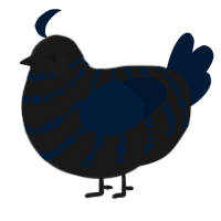 A sable and tumblr chicken with a bar pattern