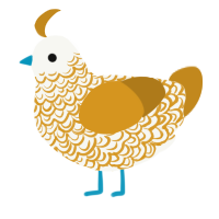 A white and ochre chicken with a double-lace pattern