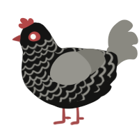 A black and ash chicken with a lace pattern