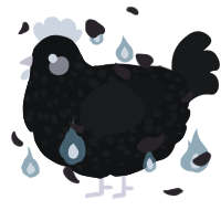 A black and sable chicken with a speckle pattern