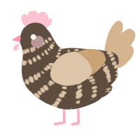 A bark and beige chicken with a bar pattern