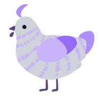 A mist and lilac chicken with a bar pattern