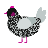 A black and silver chicken with a double-lace pattern