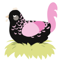A black and pink chicken with a half-lace pattern