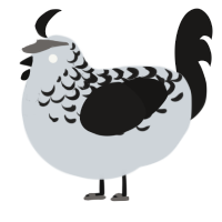 A mist and sable chicken with a half-lace pattern