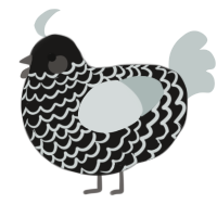 A sable and silver chicken with a lace pattern