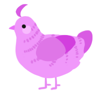 A lavender and orchid chicken with a half-bar pattern
