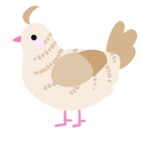 A cream and beige chicken with a half-bar pattern