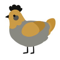 A ash and gold chicken with a head pattern