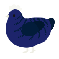 A navy and tumblr chicken with a half-bar pattern