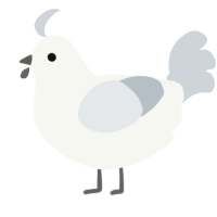A white and mist chicken