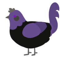 Bernkastel, a black and overcast chicken with a head pattern