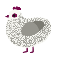 A white and ash chicken with a double-lace pattern