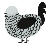 A silver and black chicken with a lace pattern
