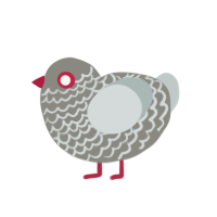 (unnamed), a ash and silver chicken with a lace pattern