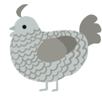 A silver and ash chicken with a lace pattern