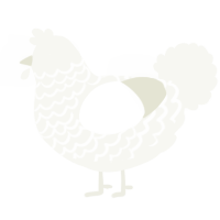 A white chicken with a lace pattern