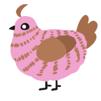 A pink and brown chicken with a bar pattern