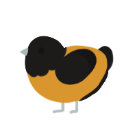 Autumn, a orange and sable chicken with a head pattern