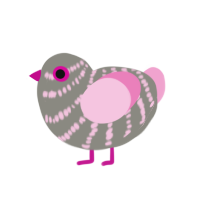 (unnamed), a ash and pink chicken with a bar pattern