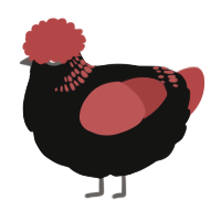 A black and red chicken with a neck-band pattern